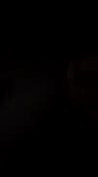 hoot denis28 online show from 7, 12, 2024