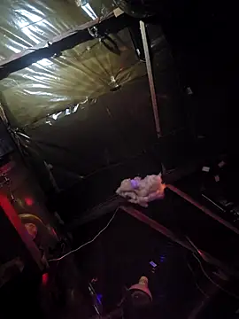 Jamixxxdress77 online show from 8, 3, 2026