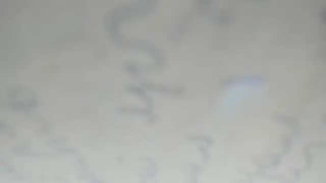 elis gabbi online show from 20, 12, 2025