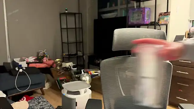 bearcloudcomputa online show from 28, 12, 2024