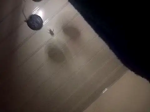 giuliana andrade online show from 7, 12, 2024