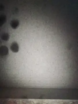 Leocesar37 online show from 12, 9, 2025