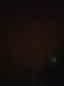 Leocesar37 online show from 5, 12, 2025