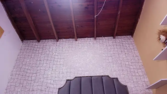 luce williams online show from 25, 2, 2025