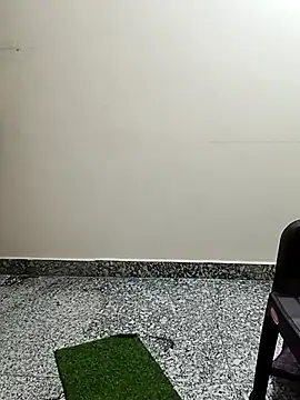 Saroj-Shah online show from 1, 4, 2026