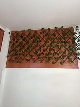 Emily Trujillo online show from 8, 11, 2025