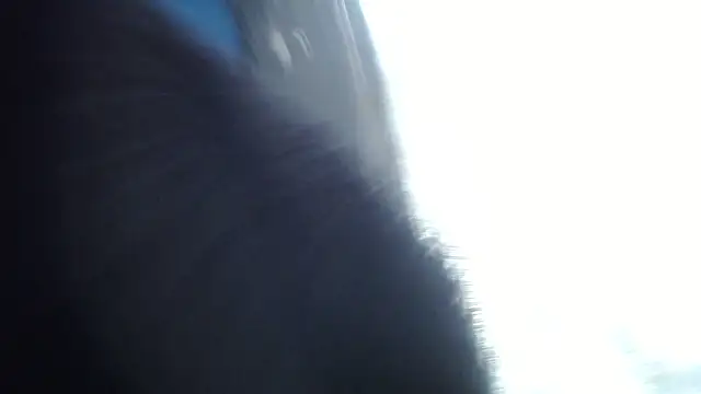 Snapshot of esjrobles chatting on 31, 7, 2026 esjrobles online show from 31, 7, 2026