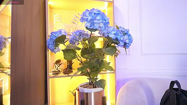 elasummer online show from 20, 12, 2025