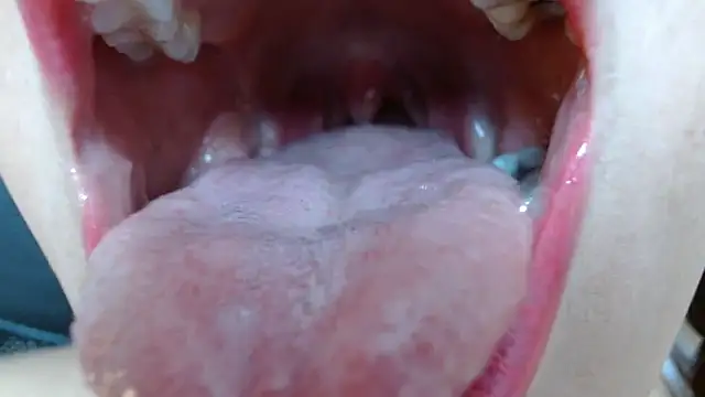 miss evoleth2 online show from 12, 3, 2026