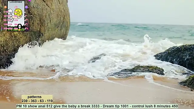  sex in paradise  online show from 17, 12, 2024