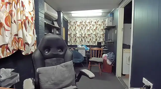 tilobinder online show from 3, 3, 2025