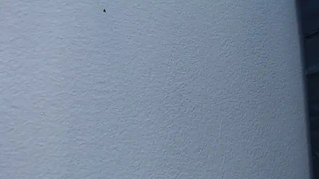 Hanna Fox 69 online show from 15, 2, 2025