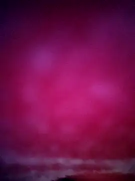 sana14 online show from 31, 1, 2026