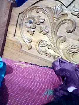 sana14 online show from 10, 3, 2026