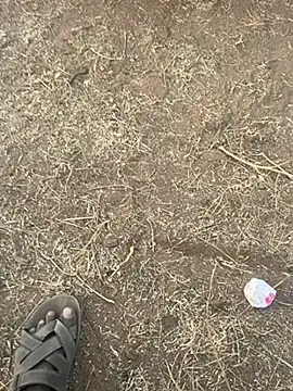 Snapshot of tamil000000 chatting on 10, 3, 2025 tamil000000 online show from 10, 3, 2025