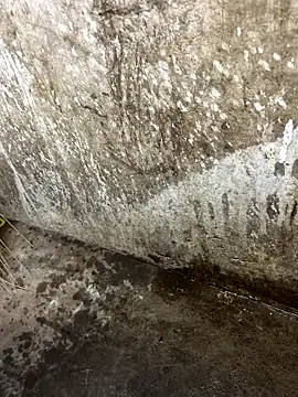 tamil000000 online show from 12, 1, 2026