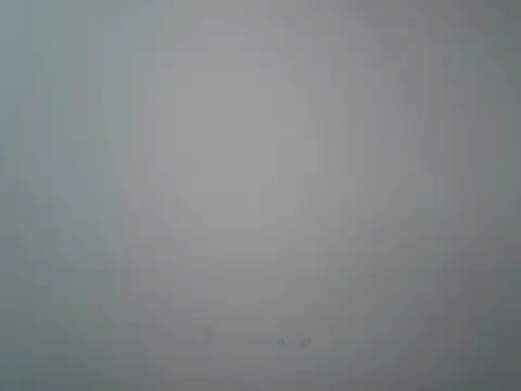 lovedoggy03 online show from 12, 1, 2026