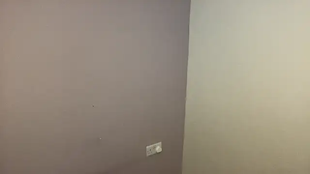 BigCockEnergy online show from 18, 12, 2024