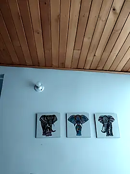 Neve Collins online show from 10, 10, 2025