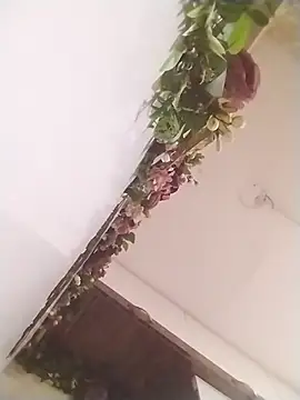 jenilmax online show from 31, 3, 2026