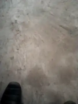 PracticalGum40 online show from 18, 12, 2024