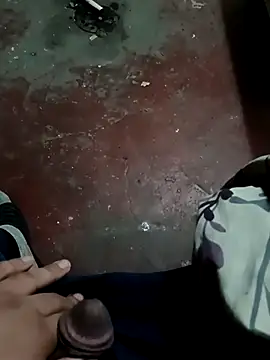 Snapshot of dvaughn3117 chatting on 13, 12, 2024 dvaughn3117 online show from 13, 12, 2024