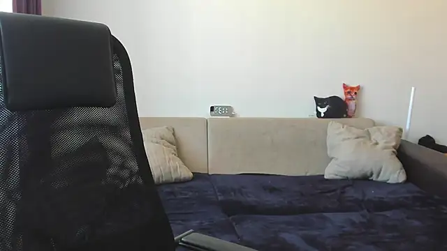 Ostin meow online show from 20, 9, 2025