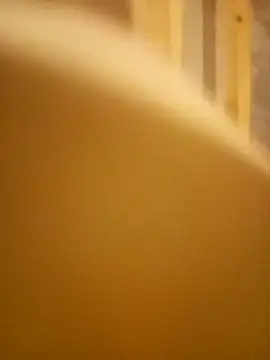 FlacoDani online show from 2, 3, 2026