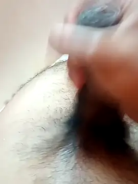 Snapshot of Vignesh3246 chatting on 15, 12, 2024 Vignesh3246 online show from 15, 12, 2024