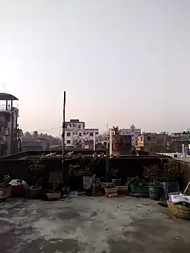 Snapshot of Jeetshine_1234 chatting on 12, 12, 2024 Jeetshine 1234 online show from 12, 12, 2024