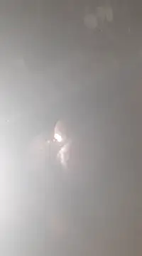 bandi-big-dick online show from 7, 1, 2025