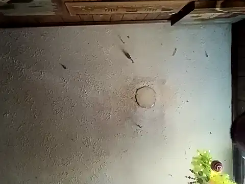 Snapshot of realoneNocap chatting on 12, 11, 2025 realoneNocap online show from 12, 11, 2025