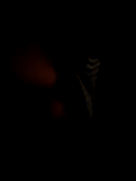 RMP05 online show from 21, 12, 2024