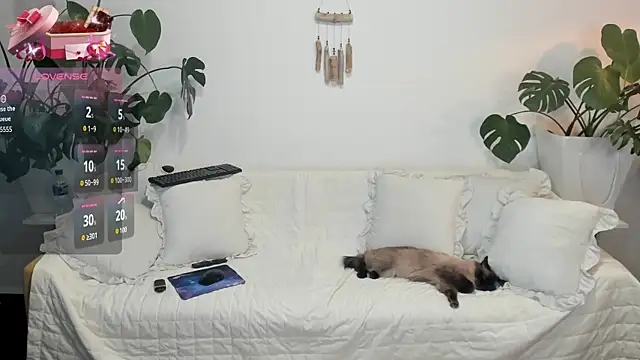 Snapshot of Amie_Hill chatting on 16, 2, 2026 Amie Hill online show from 16, 2, 2026