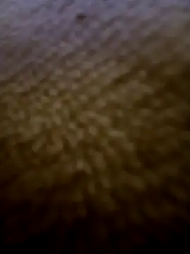 houy111111 online show from 3, 2, 2026