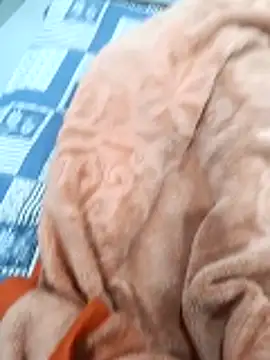 Kakabiraji online show from 8, 11, 2025