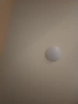 fertolcift online show from 31, 1, 2025