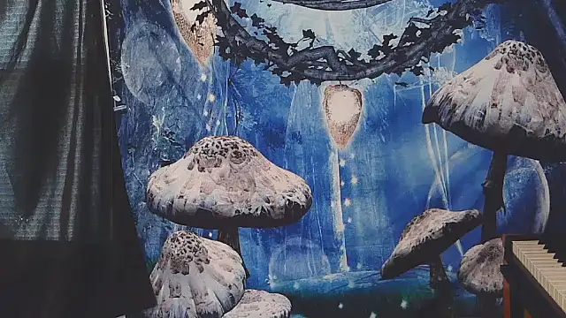 Snapshot of _hellostormy_ chatting on 16, 2, 2026 hellostormy online show from 16, 2, 2026