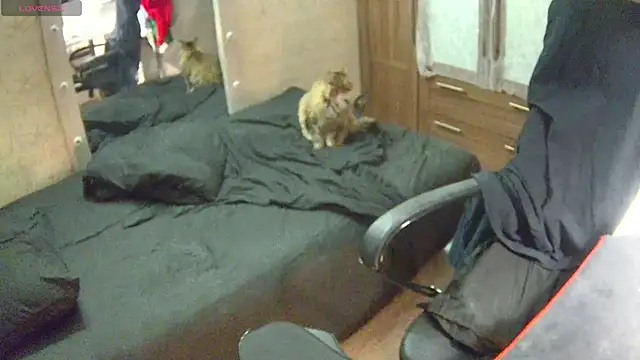 Julia dolls online show from 14, 12, 2024