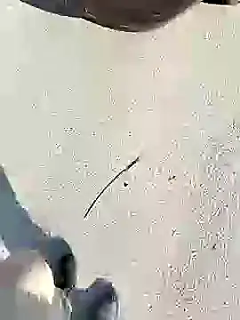 chootkapyasa007 online show from 27, 1, 2025