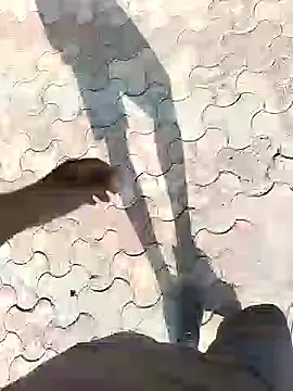 chootkapyasa007 online show from 13, 9, 2025