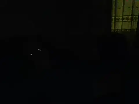 Snapshot of farock chatting on 11, 1, 2025 farock online show from 11, 1, 2025