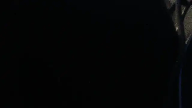 teek1234 1 online show from 22, 2, 2025