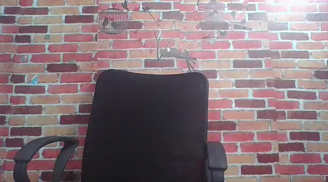 telugu indhu 0001 online show from 24, 12, 2024