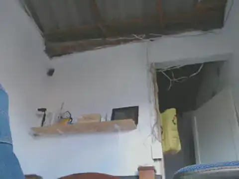 gatoalex89 online show from 10, 1, 2025