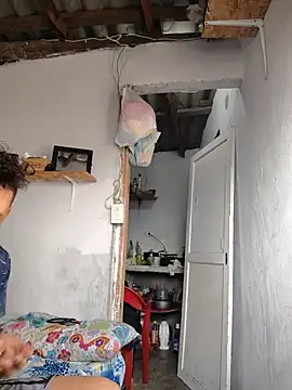 gatoalex89 online show from 8, 2, 2026