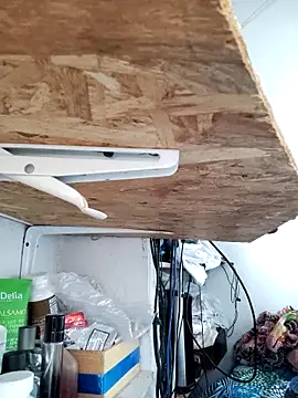 gatoalex89 online show from 8, 4, 2026