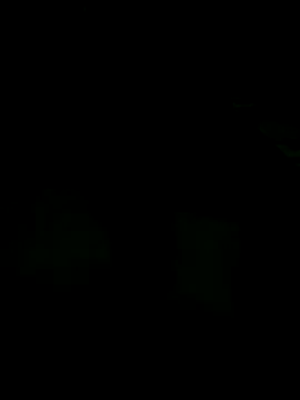 andreiwhite2  online show from 18, 12, 2025