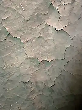 Guru2 online show from 16, 1, 2026