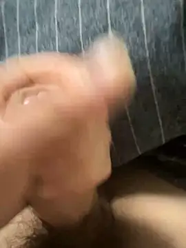 Snapshot of toto3119 chatting on 18, 2, 2025 toto3119 online show from 18, 2, 2025